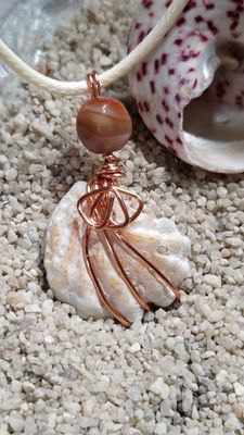 Cat Paw Shell with Carnelian Wire Wrapped Necklace