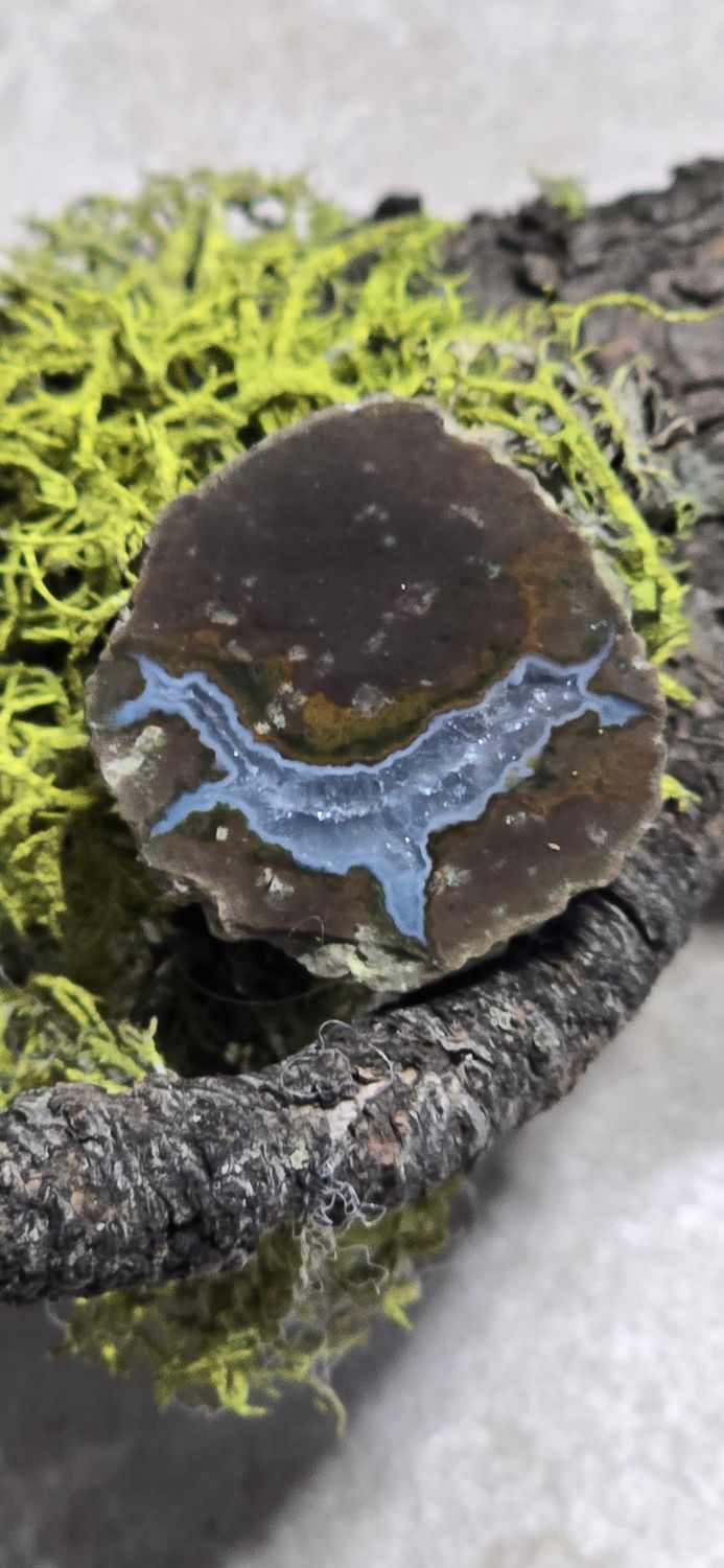 Oregon Thunderegg Polished Half