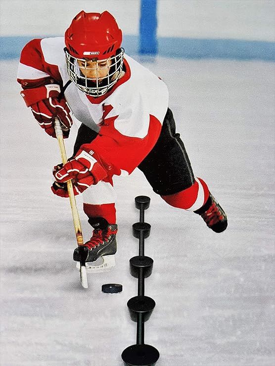 LINWOOD STICK-HANDLING TRAINING AID