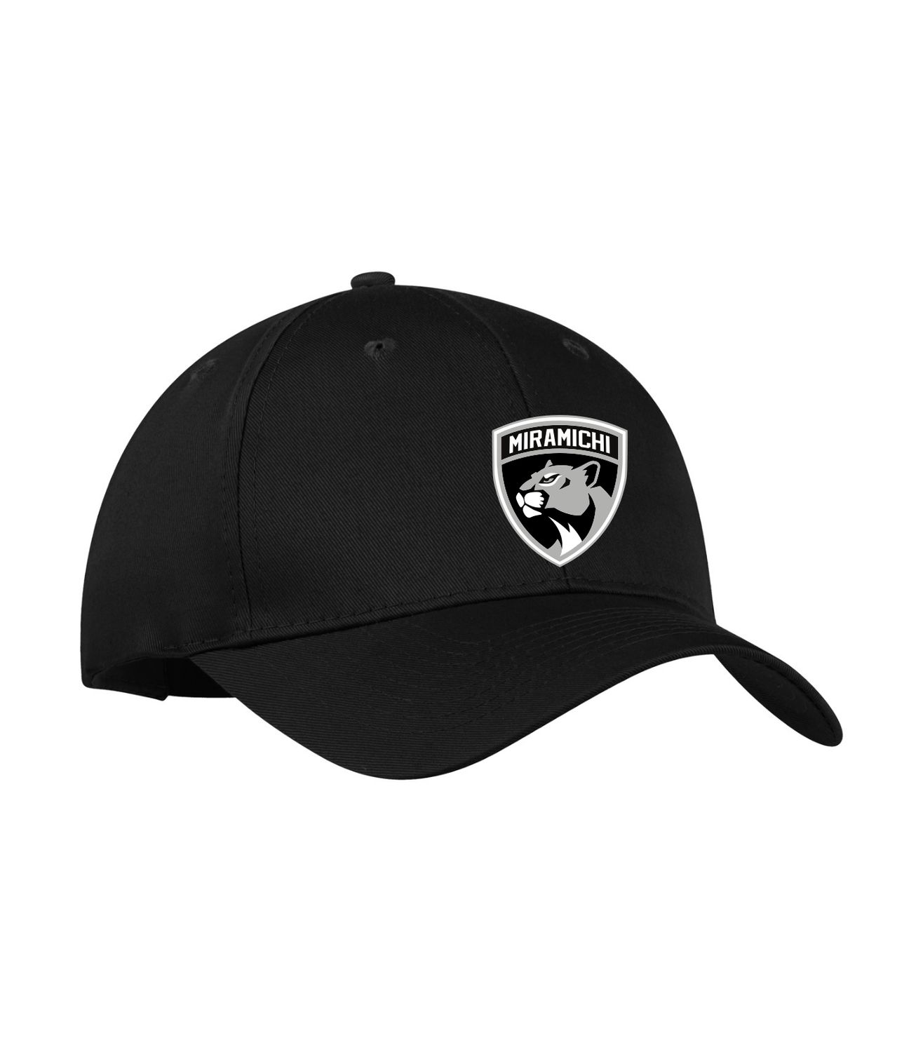 PANTHERS ADJUSTABLE CAP