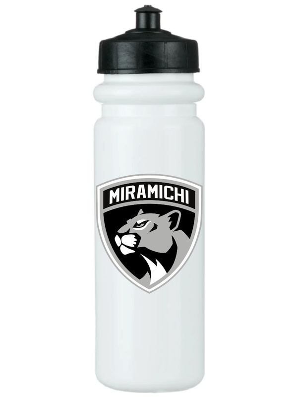 PANTHERS 850ML WATER BOTTLE