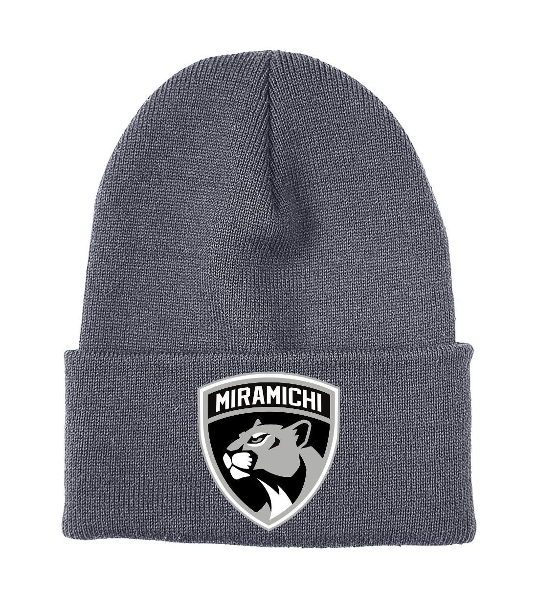 PANTHERS EMBROIDERED BEANIE STYLE CUFF TOQUE
