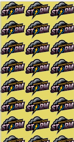 MONCTON STORM GAITERS WITH LOGO