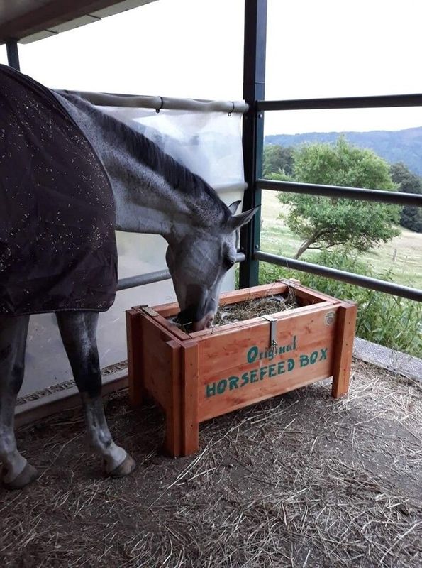Original HORSEFEED BOX CLASSIC SHORT