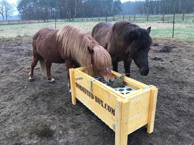 Original HORSEFEED BOX CLASSIC SUPER LONG