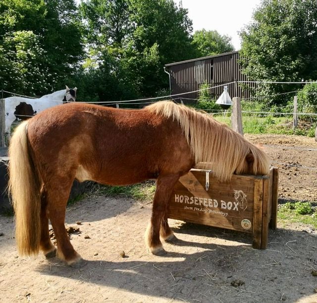 Original HORSEFEED BOX CLASSIC