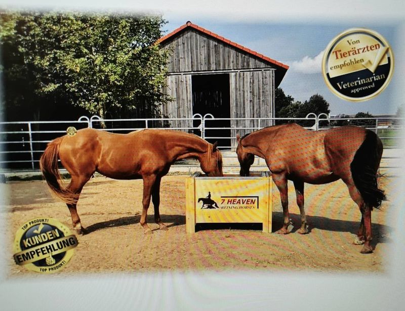 Original HORSEFEED BOX QUATTRO