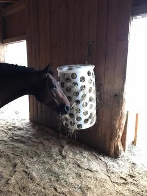 HORSEFEED outlets BOX CRAZY BOMB Big Horse - Heutonne - Heurolle