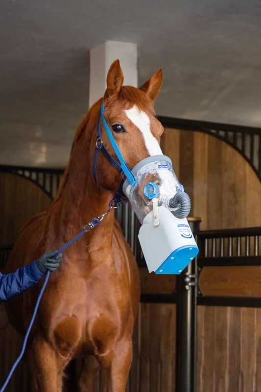 Akku-Ultraschall-Inhalator für Pferde AirOne Flex inkl. Maske