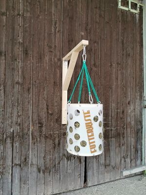 Original HORSEFEED BOX FunGame Short