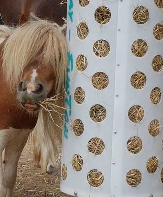 Original HORSEFEED BOX Fun Game