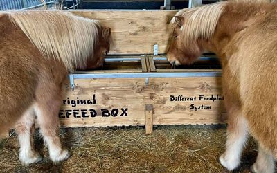 Heuboxen ab 200cm Länge XL & XXL - 58cm Breite (CLASSIC)