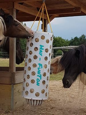 Original HORSEFEED BOX FunDome