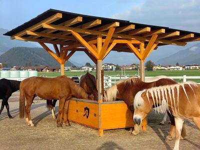 HEUKISTEN & HEURAUFEN