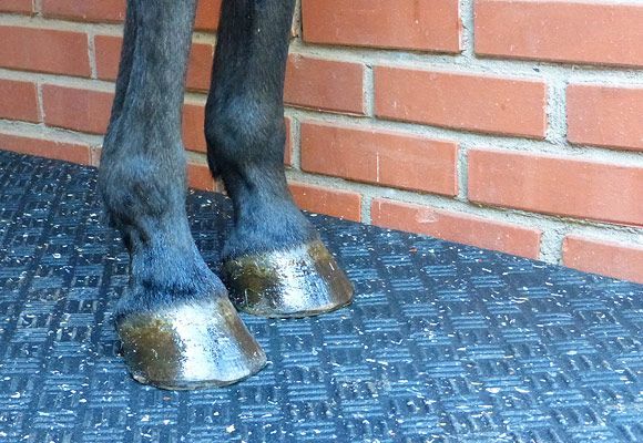 OPTIMAL Boxenplatten OPTIMAL Boxenplatten