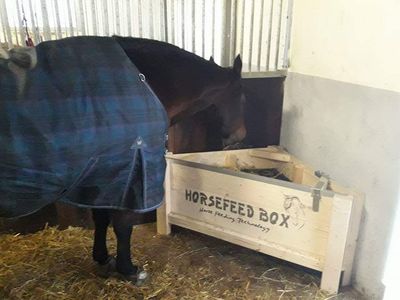 Original HORSEFEED BOX CLASSIC CORNER Original HORSEFEED BOX CLASSIC CORNER
