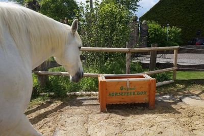 Original HORSEFEED BOX DEEP SUPER LONG Original HORSEFEED BOX DEEP SUPER LONG