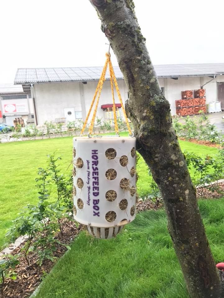 Original HORSEFEED BOX FunDome Short Original HORSEFEED BOX FunDome Short