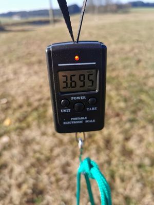 Original HORSEFEED BOX - Heuwaage Federwaage Digital Original HORSEFEED BOX - Heuwaage Federwaage Digital