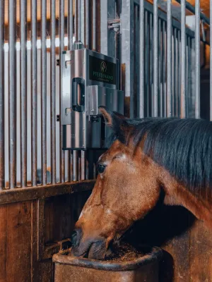 Pferde Futterautomat mit Akku – Pferdinand Mono