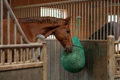 Original FUTTERKISTE Heunetz mit Ring, 7kg Original FUTTERKISTE Heunetz mit Ring, 7kg