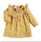 A95 Gingham Embroidered Dress
