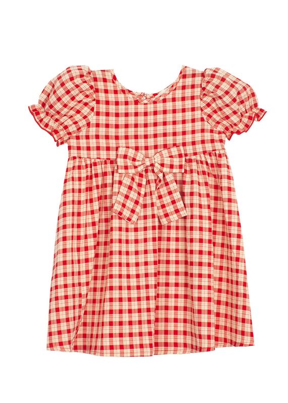 Paisley Woven Plaid Dress - Red