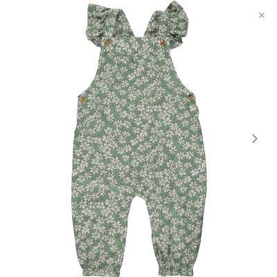 Eloise Overall~Green Daisy