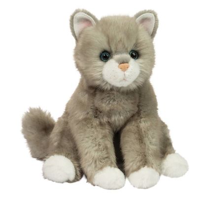 Light Gray Cat