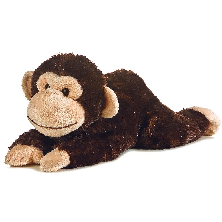 Chimpanzee