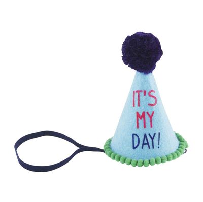 A95 My Day Musical Birthday Hat-Boy