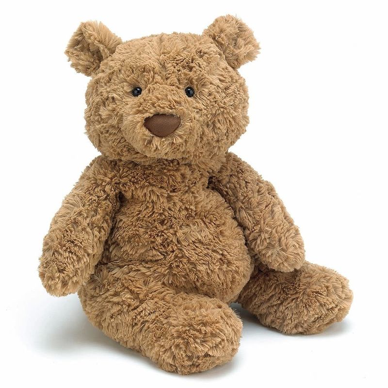 I Am Bartholomew Bear-Medium