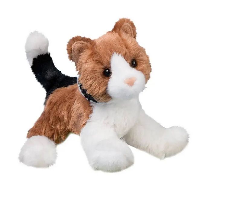 Maps Calico Cat