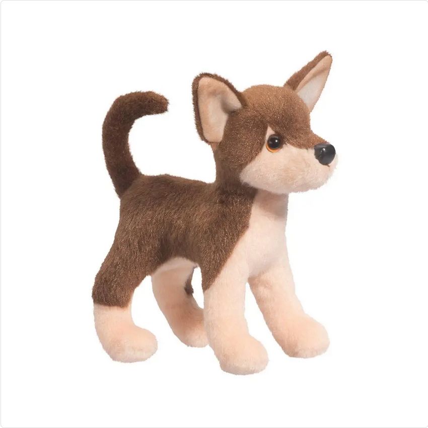 Pepito Chocolate Chihuahua
