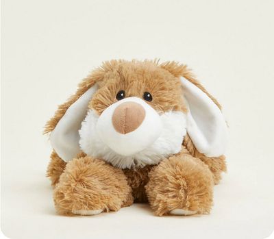 Brown and White Bunny Warmies