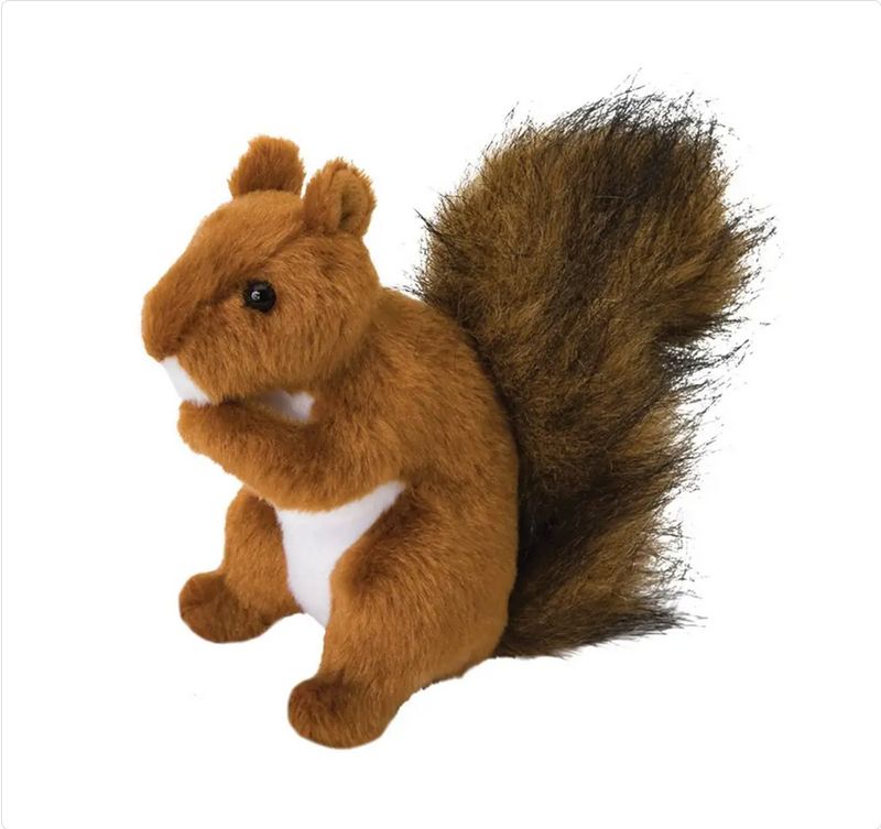 Roadie Red Squirrel