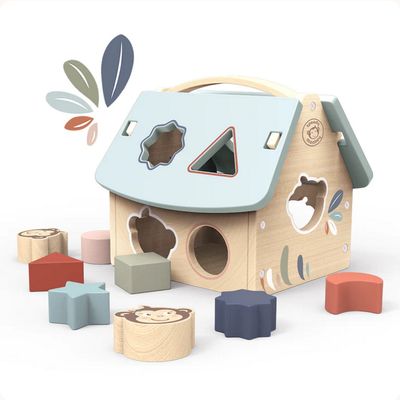 House Shape Sorter
