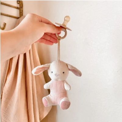 Bitzy Pal Natural Rubber Pacifier &amp; Stuffed Animal-Bunny