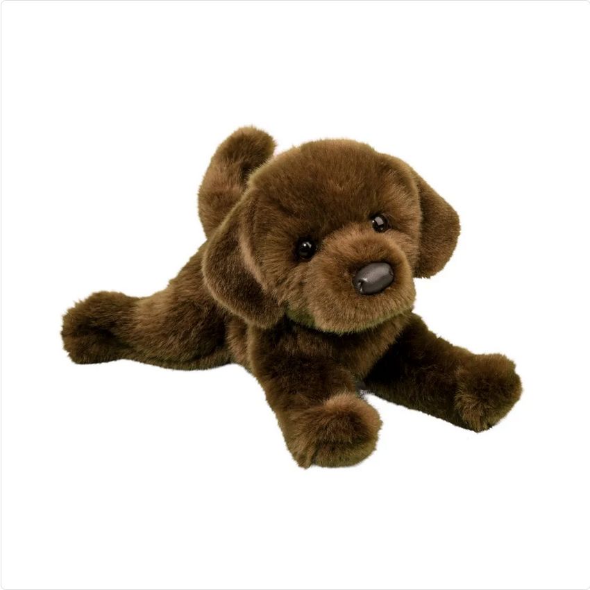 A95 Java Chocolate Lab