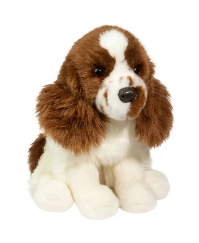 A95 Chip Springer Spaniel