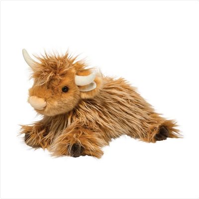 Wallace the Highland Cow