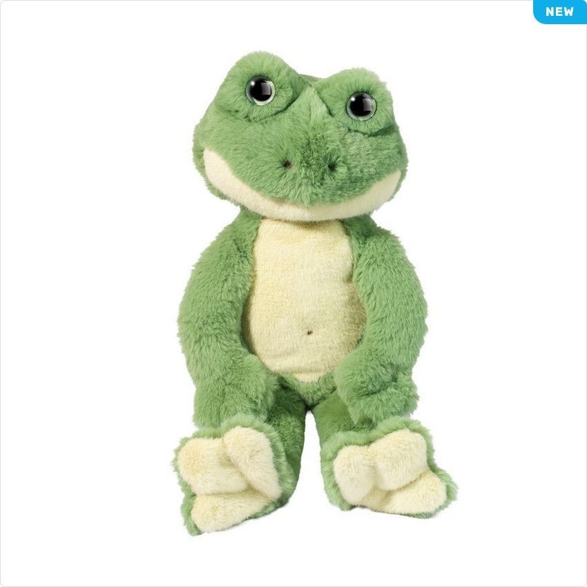 Floyd Frog