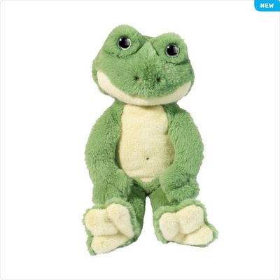 Floyd Frog