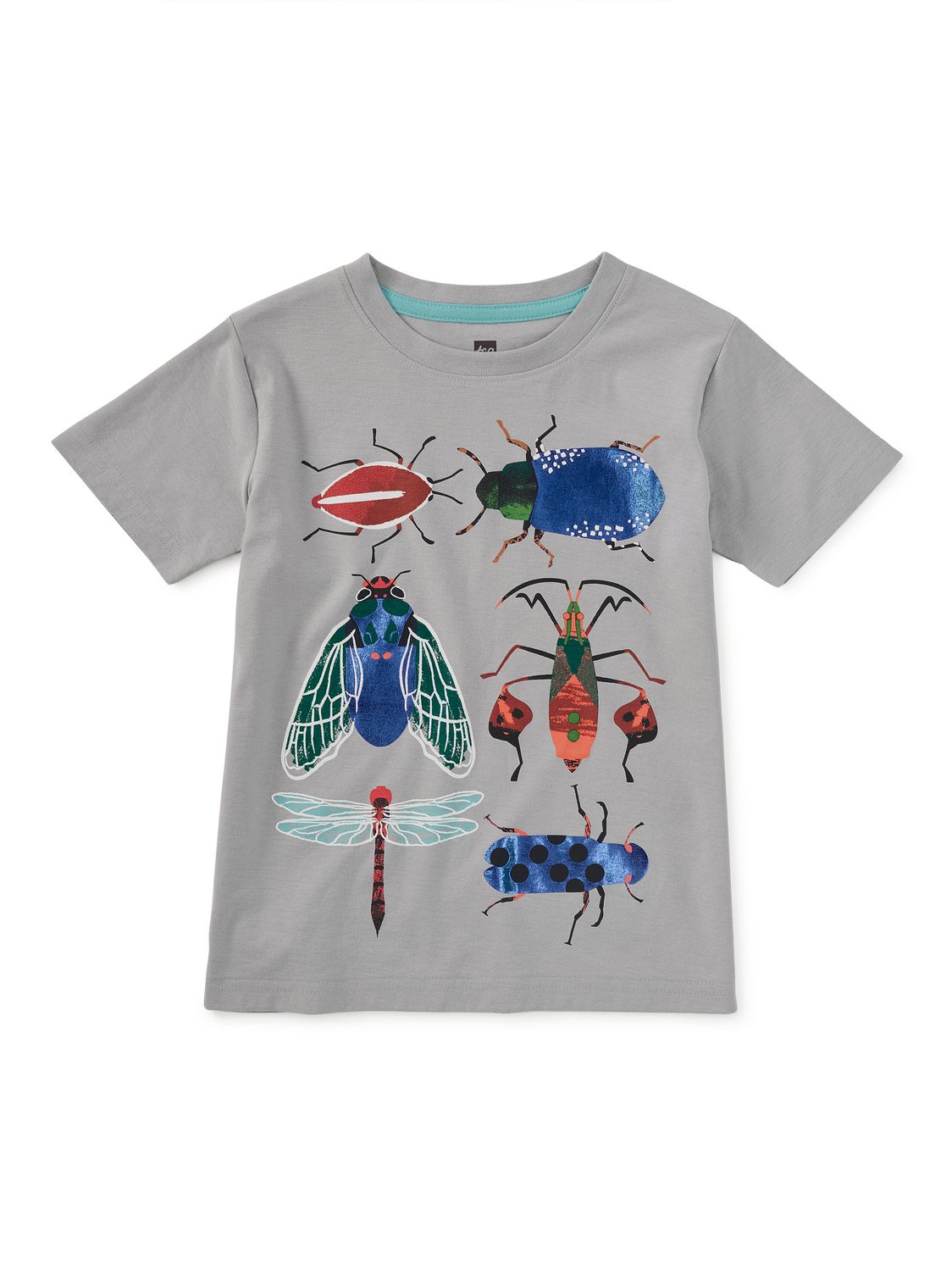 Insect Assortment Graphic Tee -Sidewalk, Size: 2T