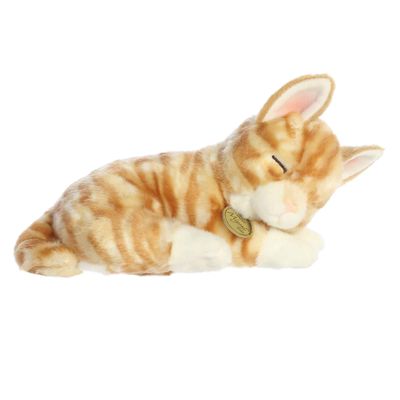 Sleepy Orange Tabby Kitten- 10&quot;