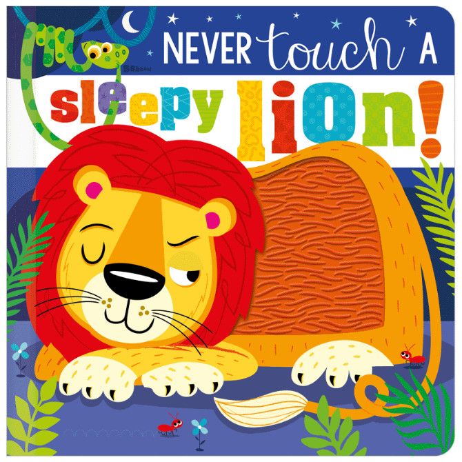 Never Touch A Lion