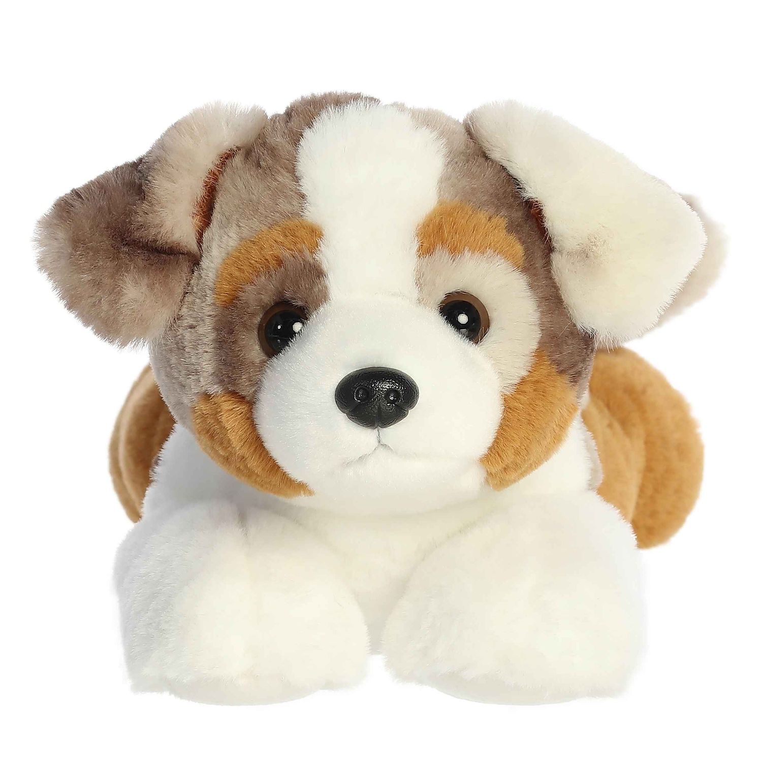 Arlo Australian Shepherd 12&quot;