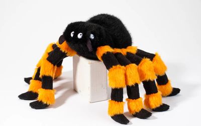Harry Halloween Spider