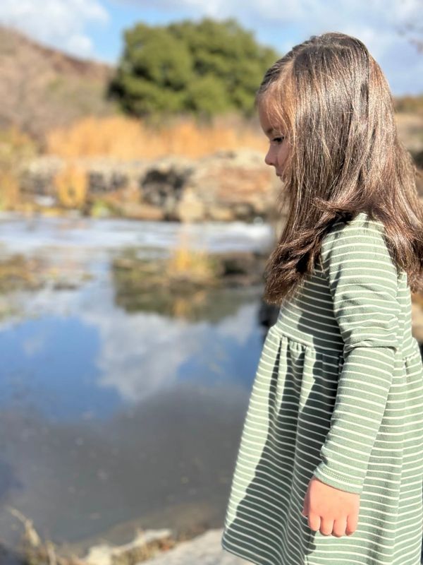 A-95 Madigan Dress Greem Stripe