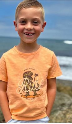 Falmouth Printed Tee - Dinosaur